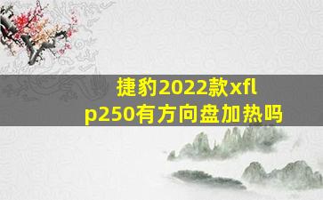 捷豹2022款xfl p250有方向盘加热吗